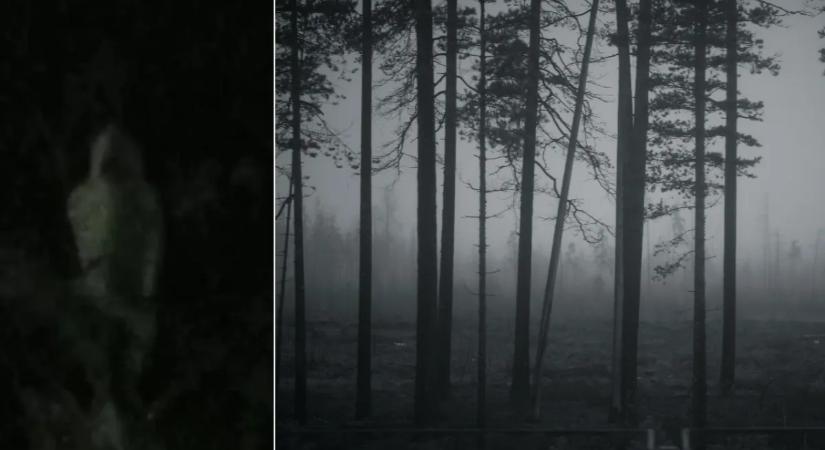 Hátborzongató fotó: sokkot kapott Csaba, amikor rájött, milyen szellemet fotózott az erdőben