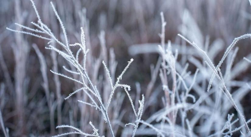 Fagyos reggel után jön a fordulat a csütörtöki időjárásban