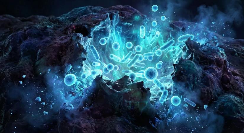 Sakk-matt a ráknak? Élve zabálják fel a daganatot a mutáns baktériumok