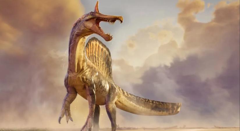 Óriási sárkánykoponyát találtak a sivatagban