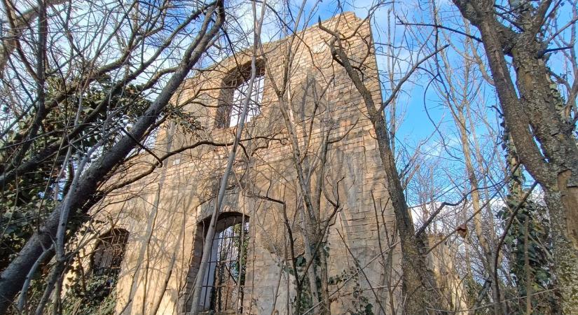 Napi hírösszefoglaló: leégett malom, múzeumi rekord és filléres medvehagyma