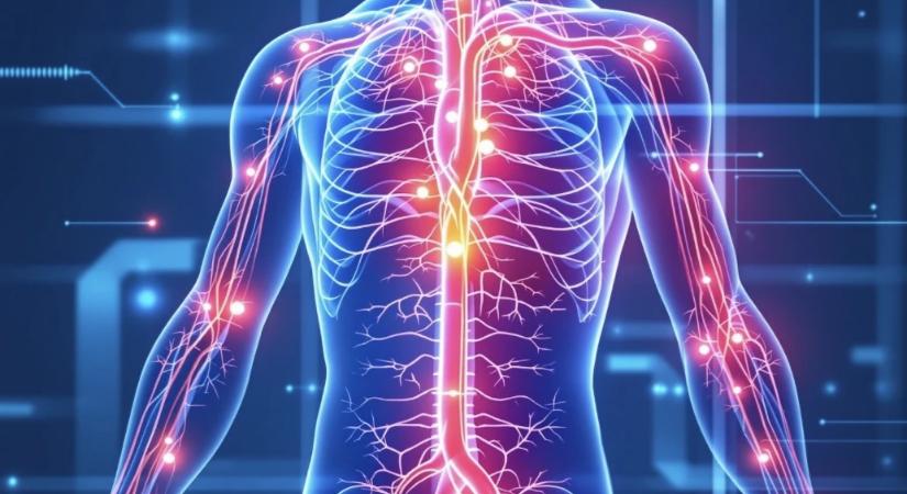 Súlyos árat fizet, aki bedől a „váratlan infarktus” mítoszának