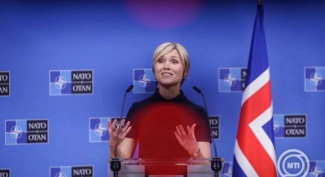 Izland népszavazást készít elő az uniós csatlakozási tárgyalások folytatásáról