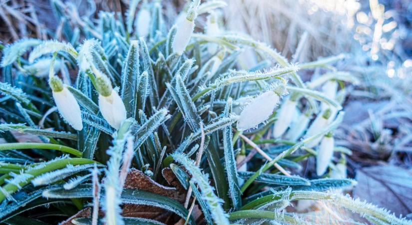 Fagyosan indul, naposan folytatódik a csütörtök