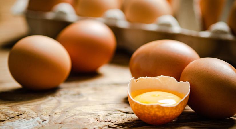 Kétszer annyi ideig eláll a tojás, ha így tárolod: a trükk, amit sokan nem ismernek