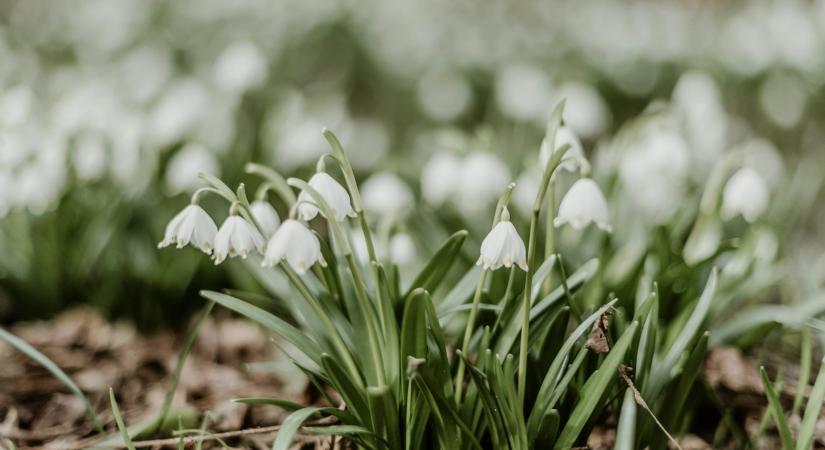 Időjárás 2026. február 26.: Túlnyomóan napos, derült időre számíthatunk