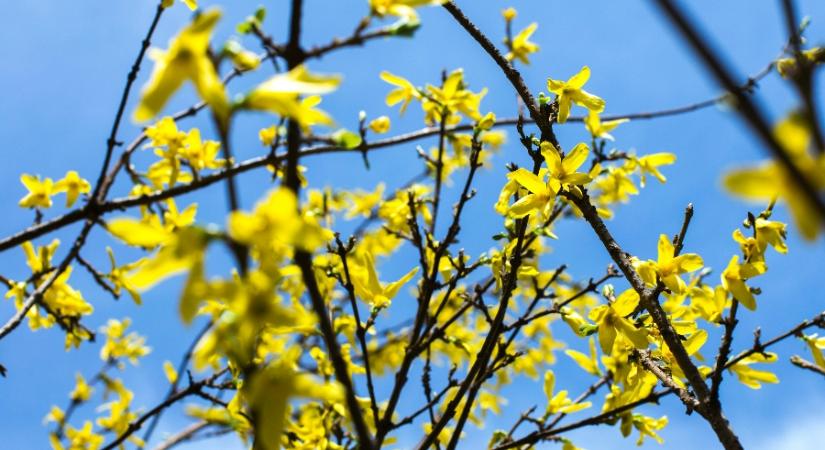 Most már biztosan véget ér a tél