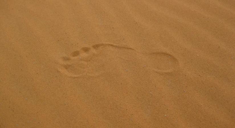 Nagyláb visszatért és nincs egyedül: a kutatók figyelmeztetnek, hogy „valami nagy” közeleg