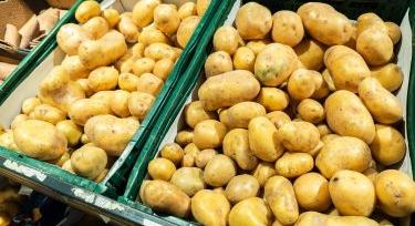 Riasztó hírek a burgonyáról: túl sok lehet az EU-ban