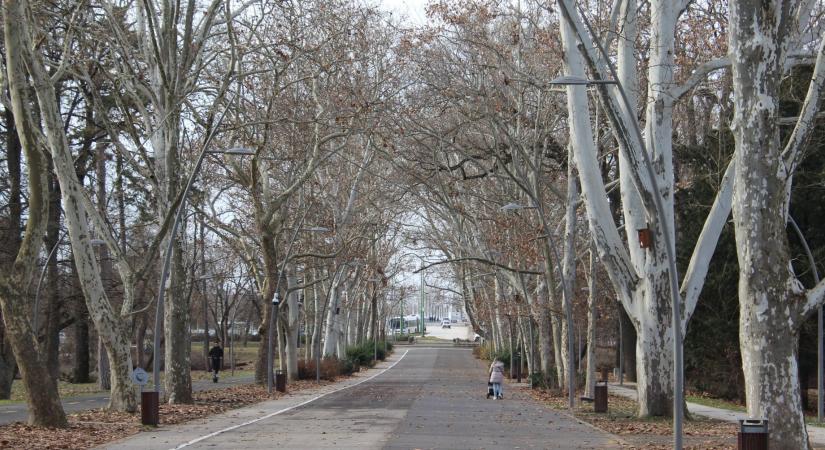 „A Fidesz úgy volt vele, nyerjék csak túl magukat itt, máshol majd kevesen lesznek”