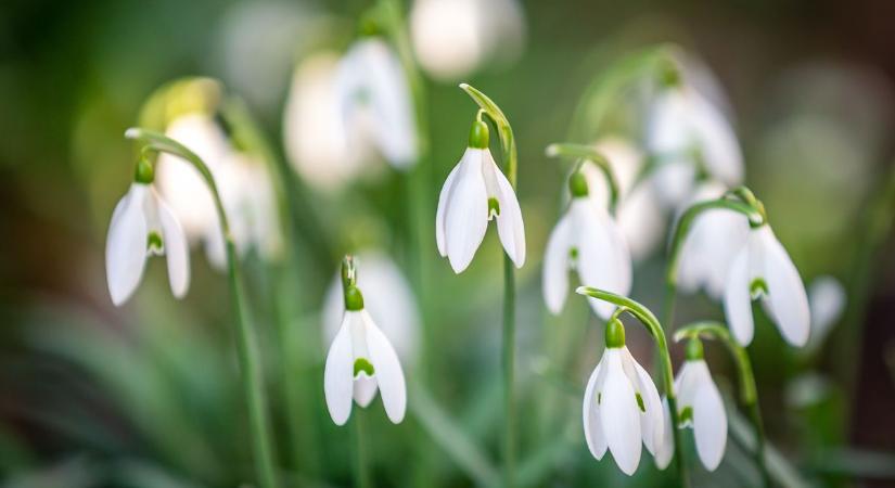 Csütörtökön is a napsütésé lesz a főszerep