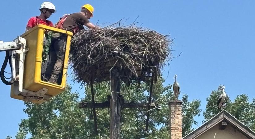 3300 fészekkel várják a gólyákat!