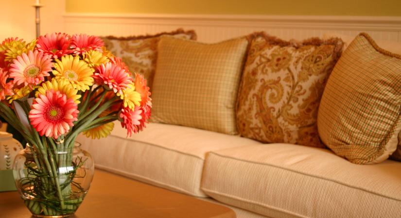 6 tárgy az otthonodban, amit a gazdagok kínosnak tartanak