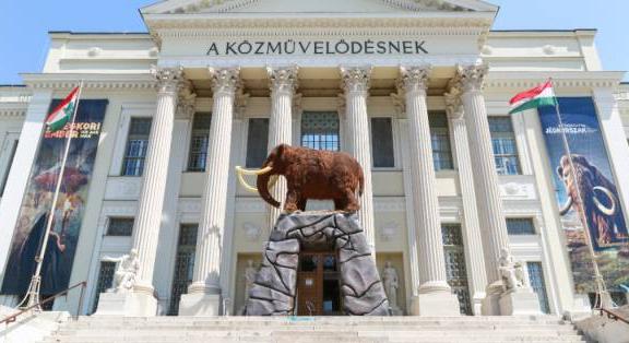 100 ezer látogató a szegedi jégkorszak-kiállításon