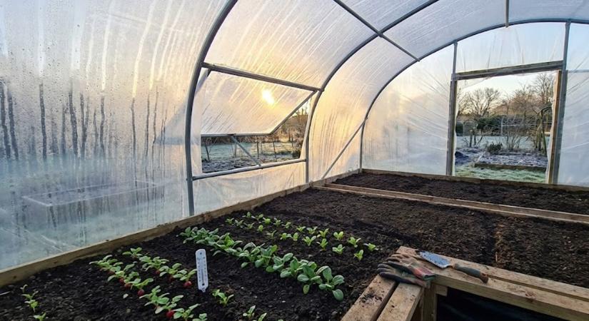 Fólia alatt induló szezon – tényleg előrébb járunk február végén?