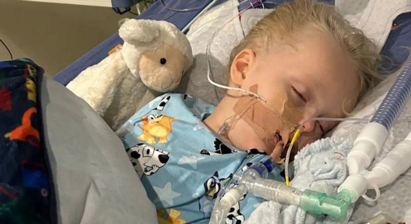 Azt hitték, csak gyomorrontása van: órákkal később halott volt a tündéri 5 éves kisfiú