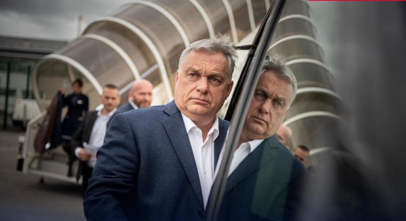 Nyílt levél Volodimir Zelenszkij elnöknek