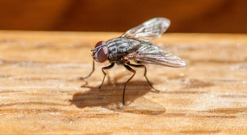 Február vagy április? Szokatlanul idő jön, erre készülhetünk csütörtökön