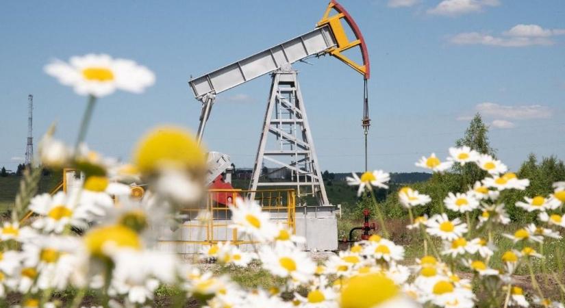 OPEC: fontos döntésre készül az olajkartell, az oroszok azonnal reagáltak – Putyin előre dörzsölheti a tenyerét, csengeni fog a kassza