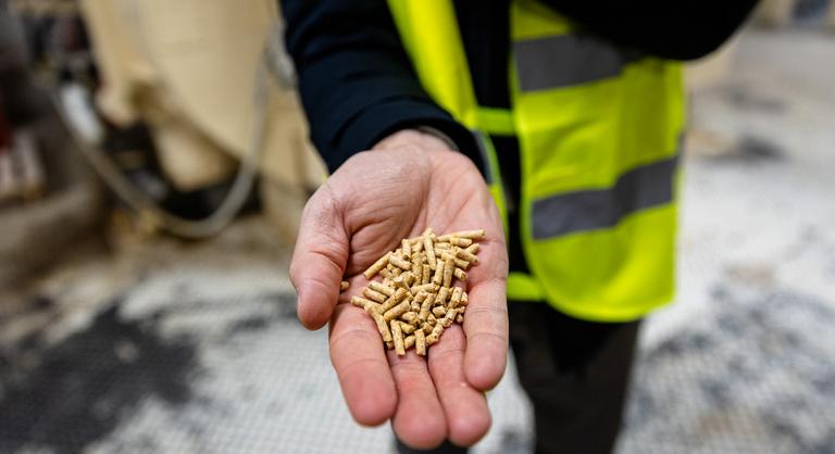 Tovább hasít a magyar óriás, történetének legjobb féléves eredményét produkálta