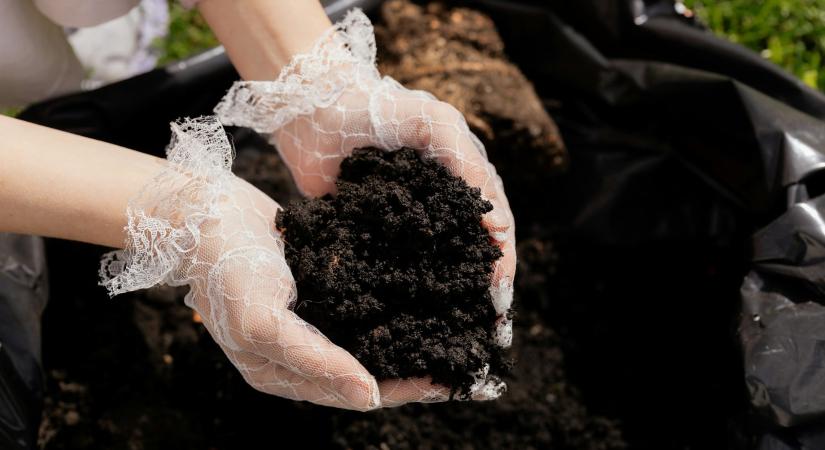 Így készíts természetes, vegyszermentes tavaszi növényerősítőt otthon