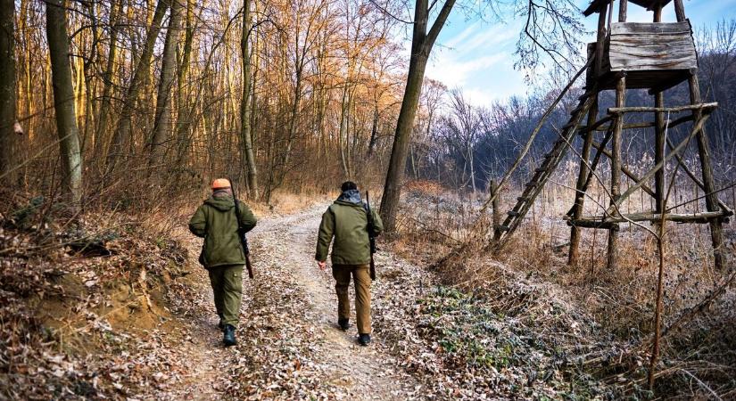 Páratlan dologra bukkantak a vadászok: egyetlen ember hagyatéka lehet a 40 darabos lelet