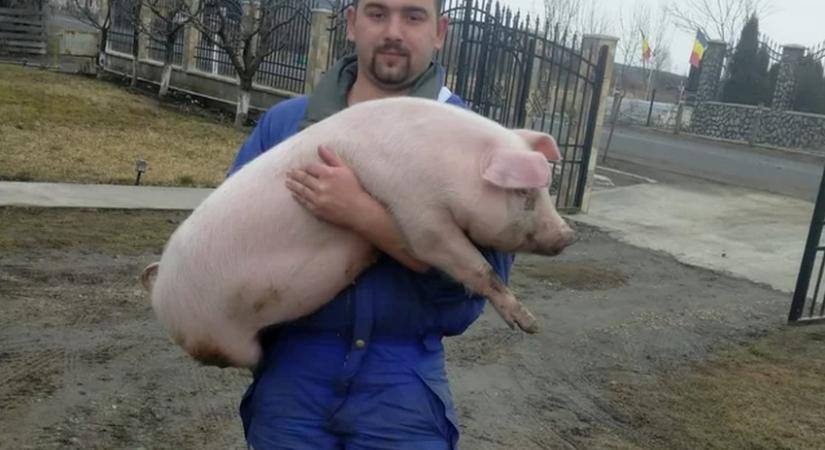 Maros megye: ittasan menekült a rendőrök elől Mezőpagocsa alpolgármestere