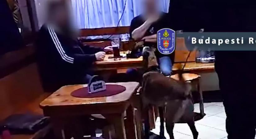 Viktor és Attila törzshelyét bezárták a zsaruk: és ehhez közük van