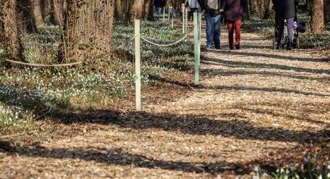 Hétvégi programajánló: Kőbánya Underground, Hóvirágünnep, Budapest kvízestek