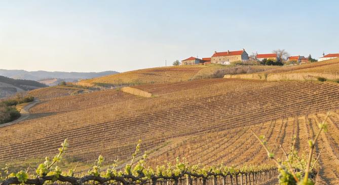 Közel 30 fokkal dőlt havi melegrekord Franciaországban