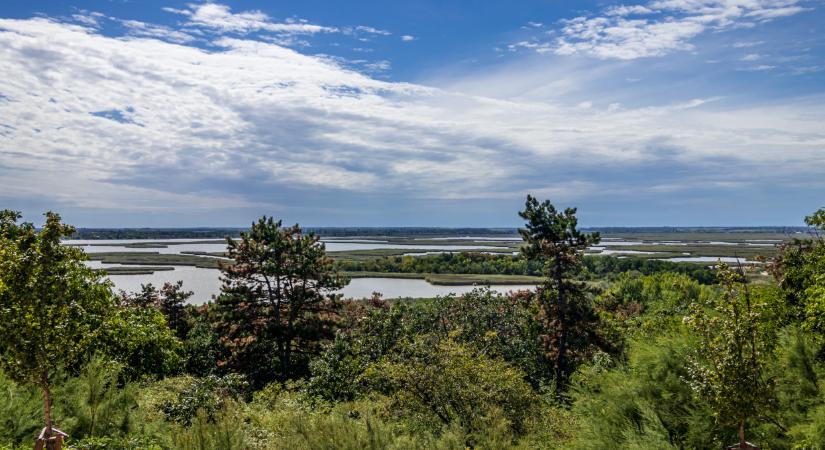 Újraéledt az egykor népszerű horgásztó: 4 év után ismét víz borítja a kihaltnak hitt medret  Fotók