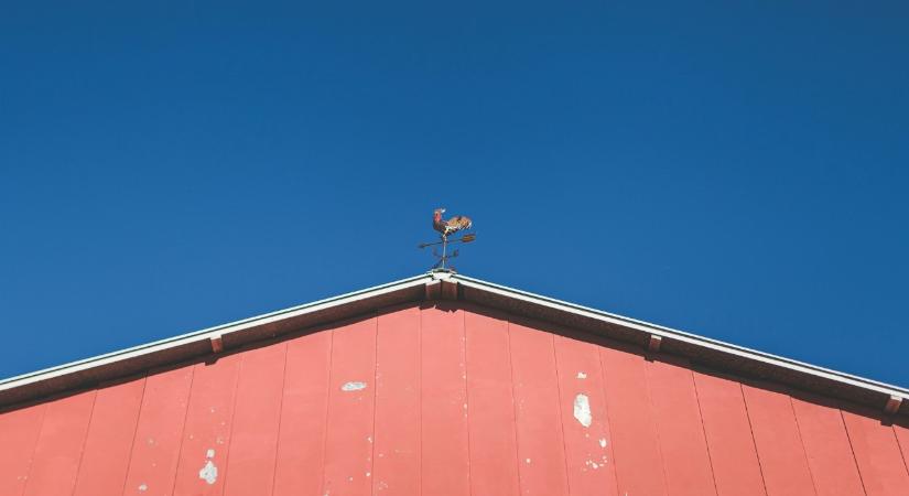 Hat métert zuhant az illegális munkás