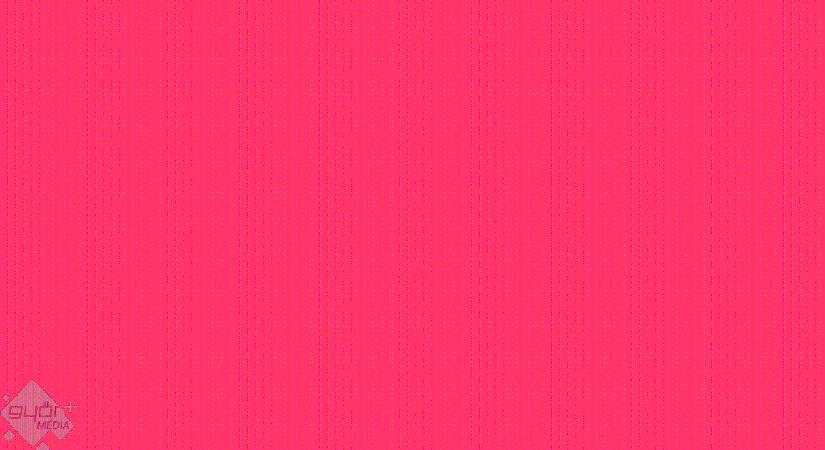 NŐK NYELVÉN – Nyereményjáték a Győr Rádióban nőnap alkalmából