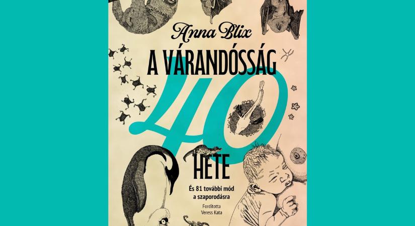 Szórakoztató szorongásoldó