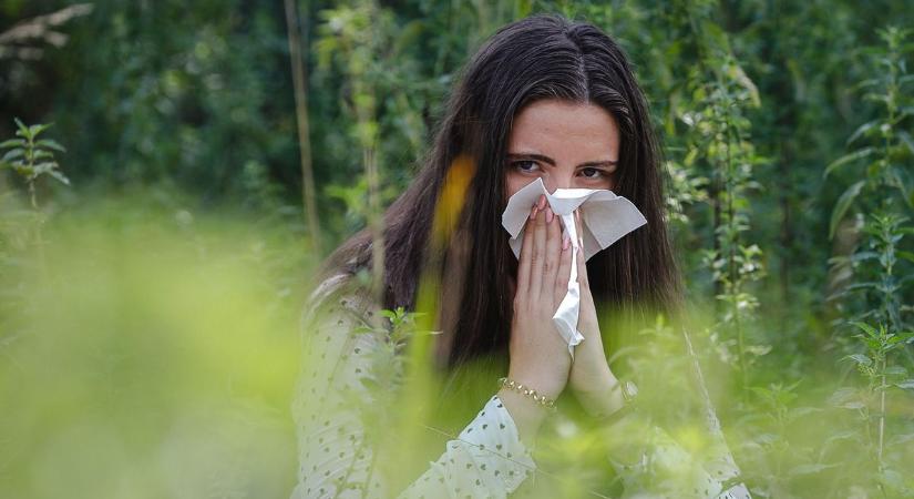 Szörnyű lesz: már most félnek az allergiások!