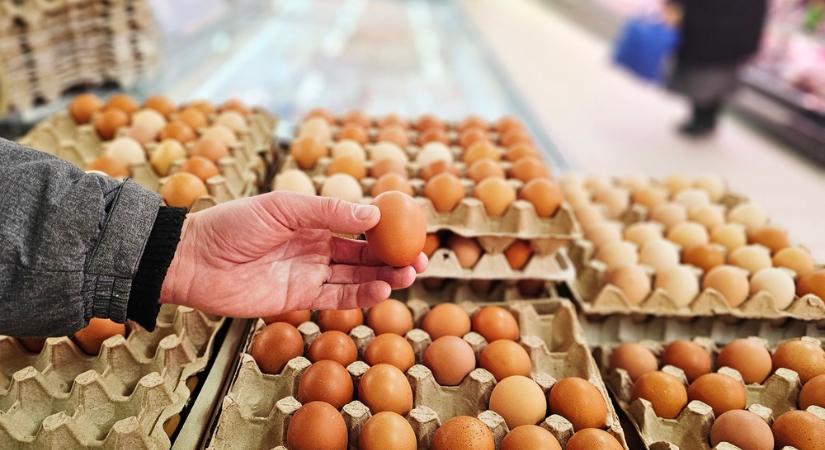 Évtizedes tévhit dőlt meg a tojásról