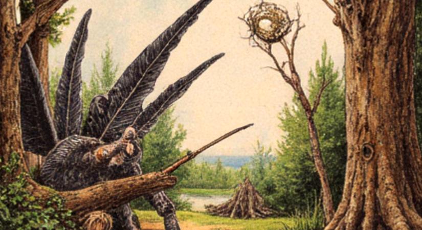 Meseterápia Klárival az Óbudai Platán Könyvtárban