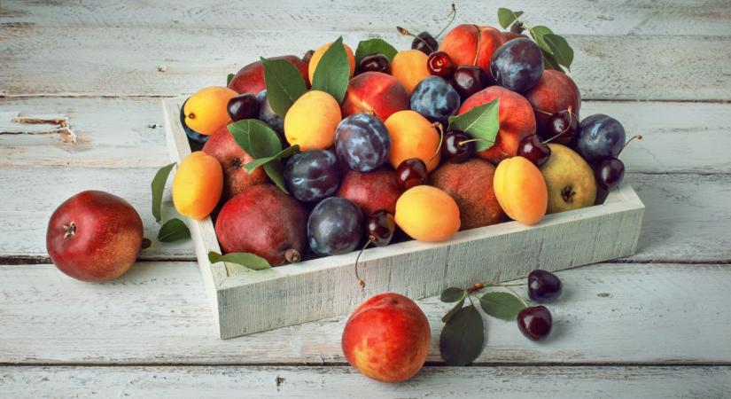 Olyan kár érte Magyarországot, amire 50 éve nem volt példa: ez súlyos