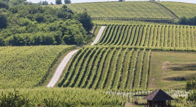 Megújult egy útszakasz Villányban, hamarosan átadják