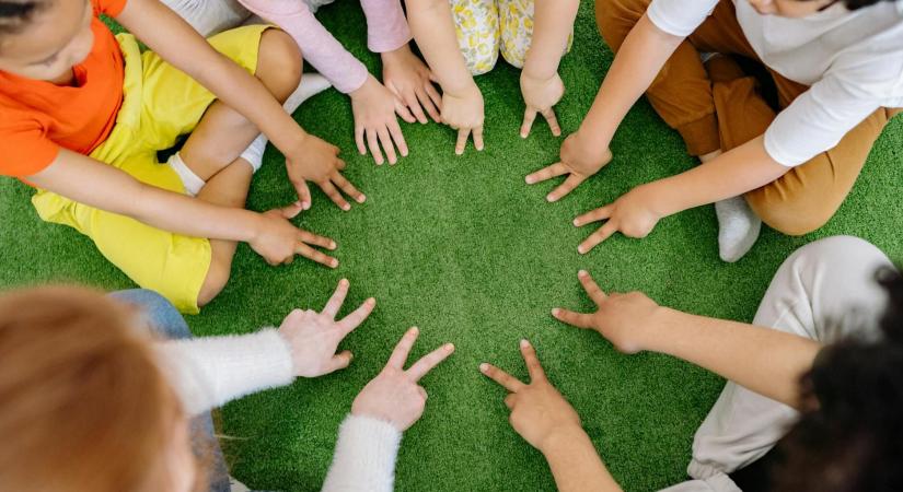 Műfű - az örökzöld választás