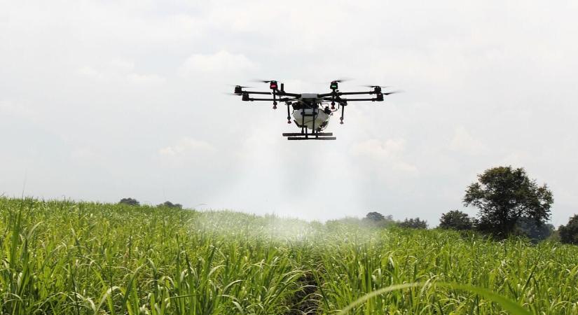 Hogyan készítsen hatékony permetező oldatot?