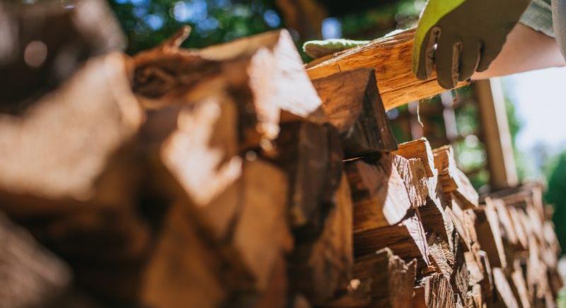 Közeledik a választás: ingyenes házi segítségnyújtás és tűzifa a rászorulóknak - döntött az egri közgyűlés