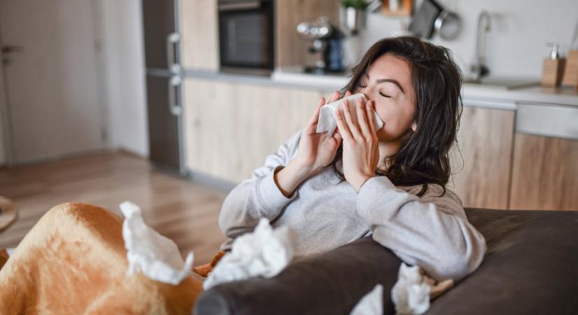 5 egyszerű trükk, ami drámaian csökkenti az allergéneket a lakásban
