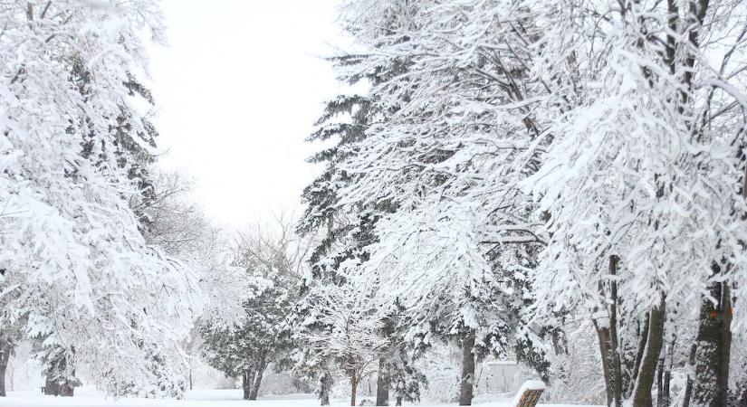 Orosz és amerikai turisták is segítették a magyar szállásokat a jéghideg januárban
