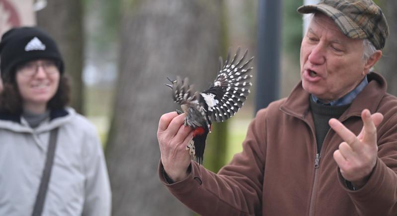 Rekordszámú madarat fogtak be a Debrecen Egyetemen