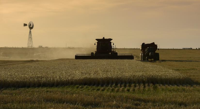 Döbbenetes bővülést hozott a búzarekord ebben az országban