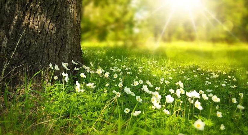 Tavaszias idővel búcsúzik a február