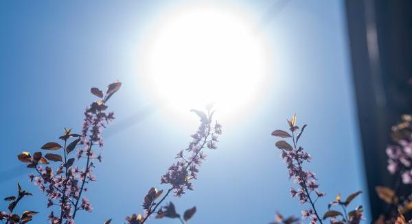 Hétvégére kicsit megérkezik a tavasz, 17 fok is lehet