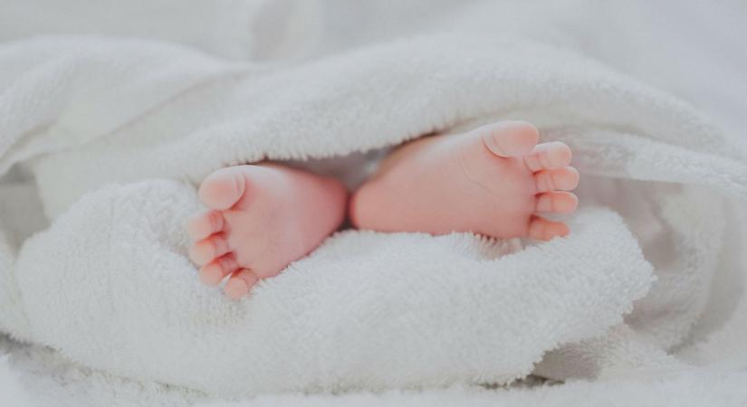 Babát szült a halottból átültetett méhű nő