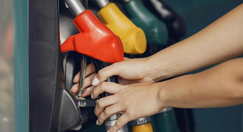 Saját főnöküket húzták le: több mint 10 millióval rövidítettek meg egy céget a pofátlan csalók